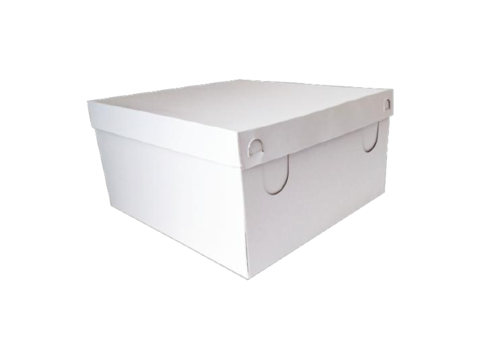 CAJA ESTANDAR NUEVO MODELO