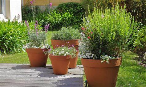 Macetas y jardineras