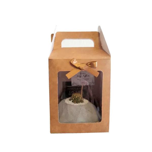 Caja suculenta 3 ( 8 x 8 x 10) sin mica