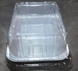 Envase de Plastico para porción