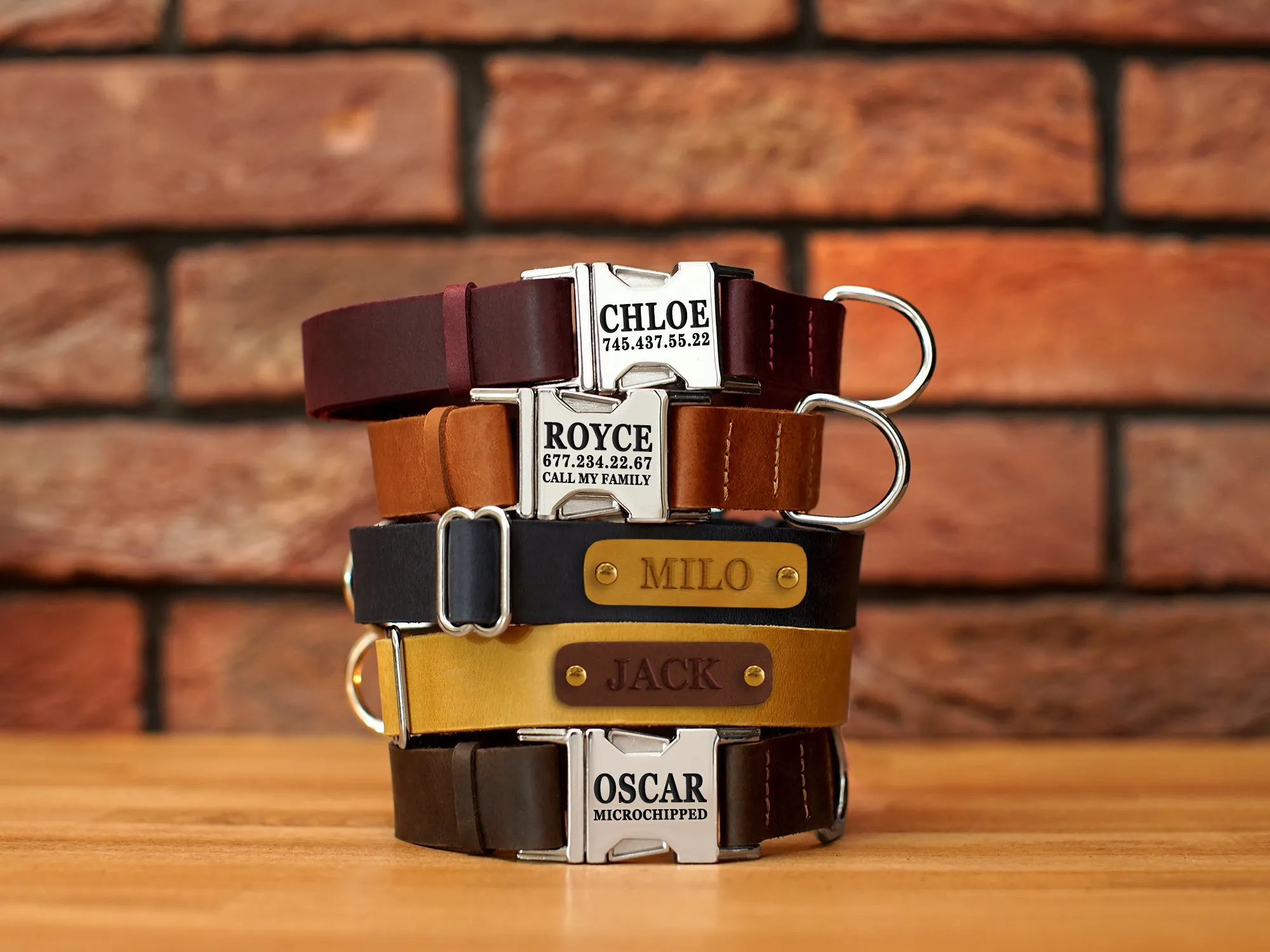 Collares, arneses y correas