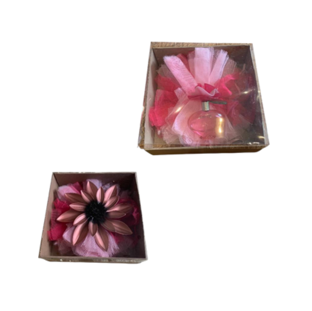 REGALO MC TAPA ACETATO